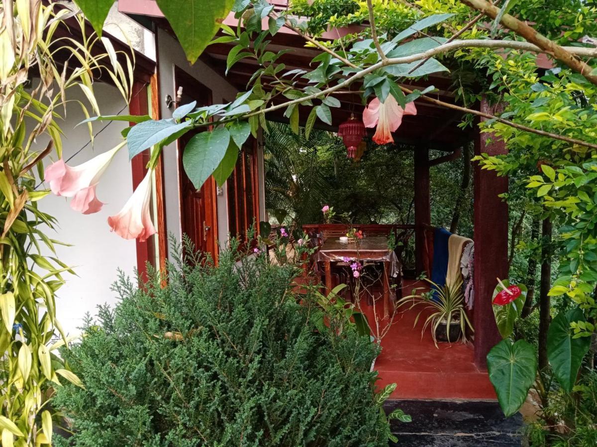 Bed and Breakfast Littleadems View Ella Esterno foto