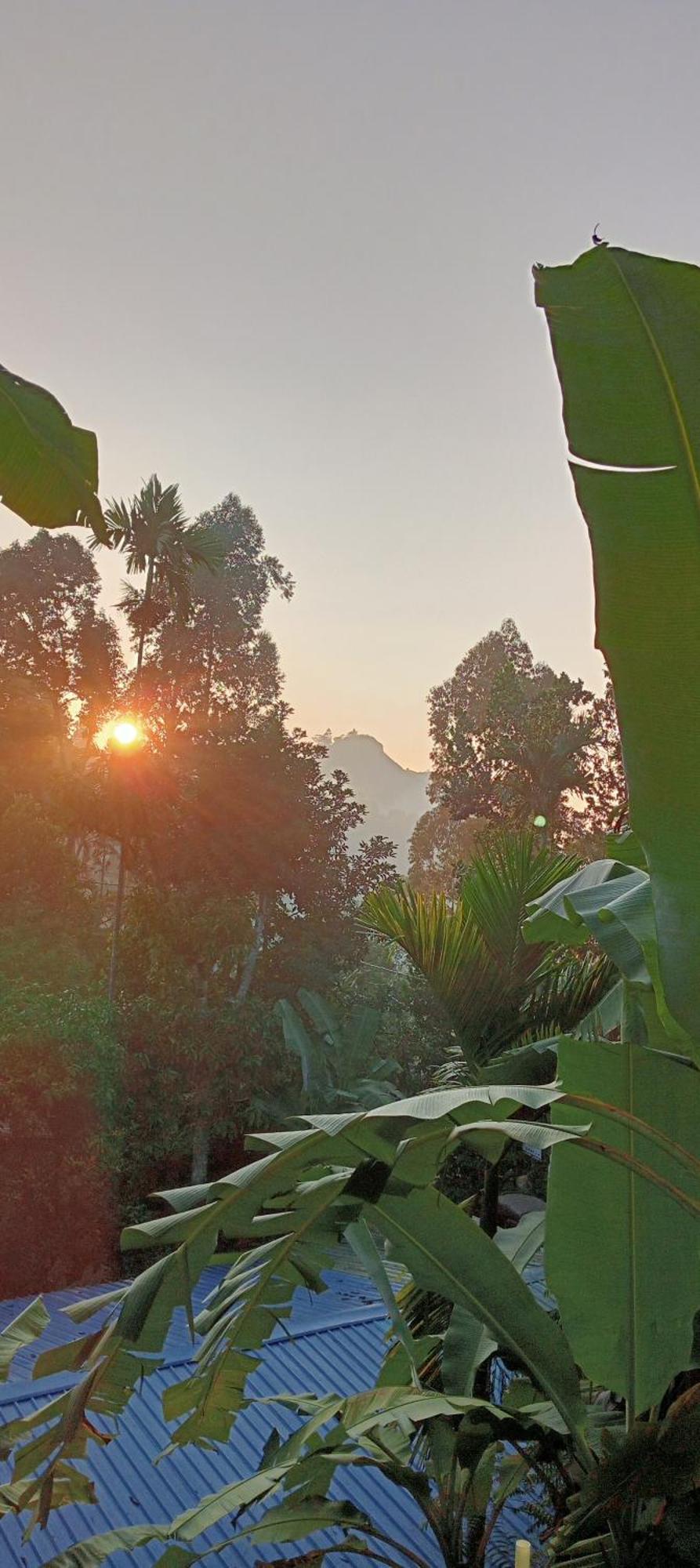 Bed and Breakfast Littleadems View Ella Esterno foto